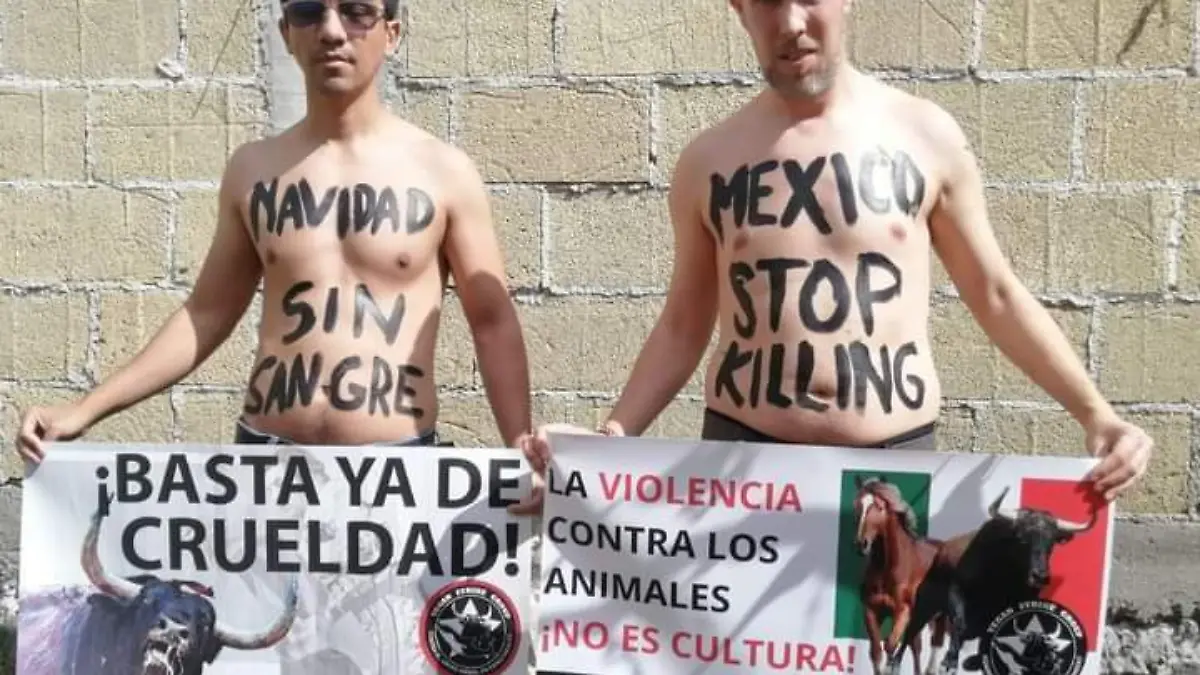 activistas plaza de toros (3)